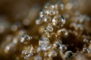 「無題」のサムネイル画像