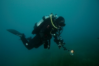 「無題」のサムネイル画像