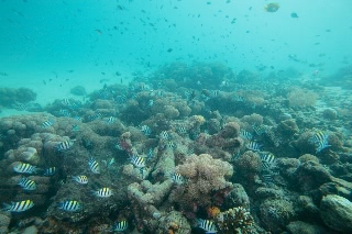 「無題」のサムネイル画像