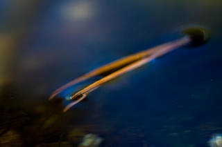 「無題」のサムネイル画像