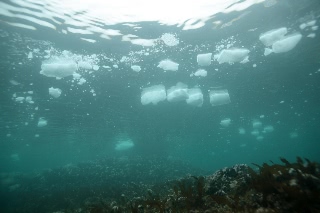 「無題」のサムネイル画像