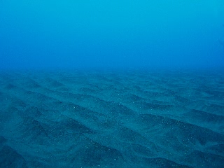 「どこまでも続く砂紋」のサムネイル画像