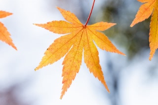 「無題」のサムネイル画像