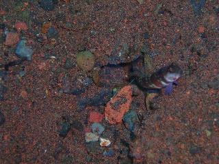 「無題」のサムネイル画像