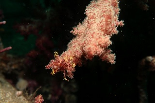 「無題」のサムネイル画像
