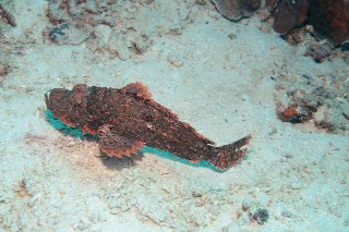 「無題」のサムネイル画像