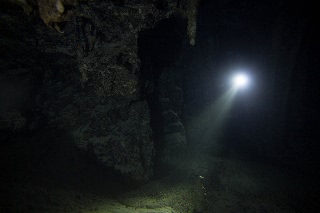 「無題」のサムネイル画像