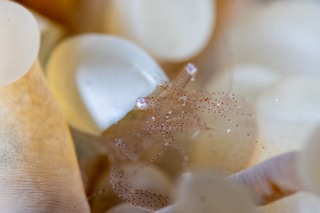 「無題」のサムネイル画像