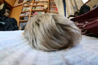 「ヨークシャー・テリア(Yorkshire Terrier)」のサムネイル画像