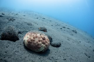 「無題」のサムネイル画像