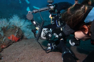 「無題」のサムネイル画像