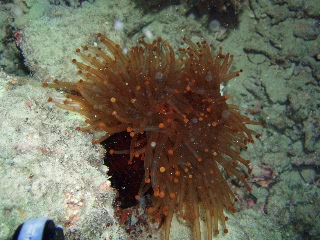 「無題」のサムネイル画像