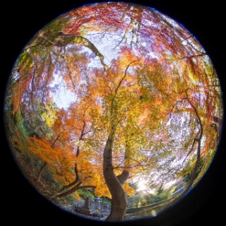 「無題」のサムネイル画像