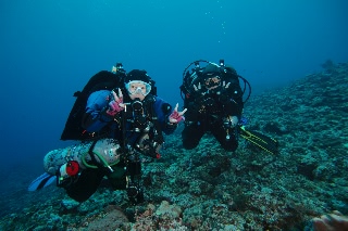 「無題」のサムネイル画像