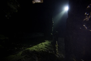 「無題」のサムネイル画像