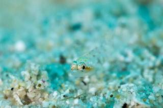 「無題」のサムネイル画像