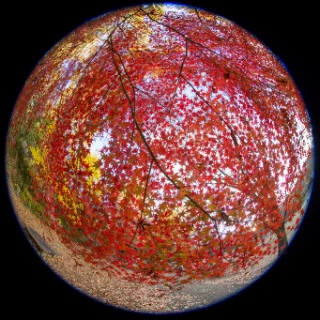 「無題」のサムネイル画像