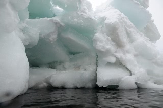 「無題」のサムネイル画像