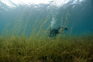 「無題」のサムネイル画像
