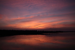 「無題」のサムネイル画像