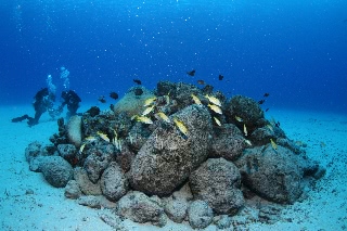 「無題」のサムネイル画像