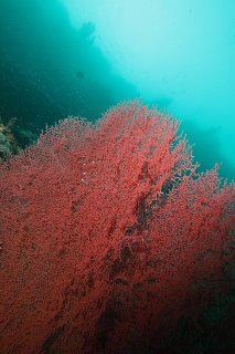 「無題」のサムネイル画像