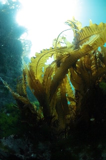 「無題」のサムネイル画像