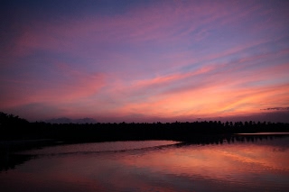 「無題」のサムネイル画像