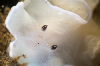 「無題」のサムネイル画像