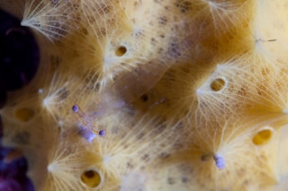 「無題」のサムネイル画像