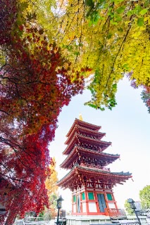 「無題」のサムネイル画像