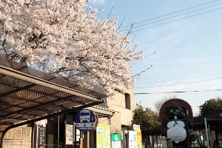 「信楽駅」のサムネイル画像