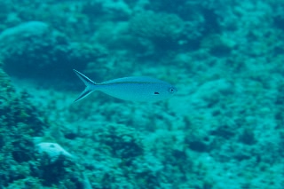 「無題」のサムネイル画像