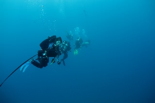 「無題」のサムネイル画像
