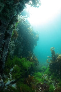 「無題」のサムネイル画像