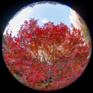 「無題」のサムネイル画像