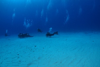 「無題」のサムネイル画像