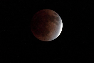 「無題」のサムネイル画像