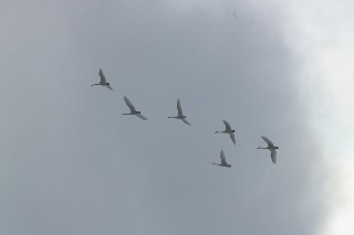 「無題」のサムネイル画像