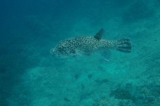 「無題」のサムネイル画像