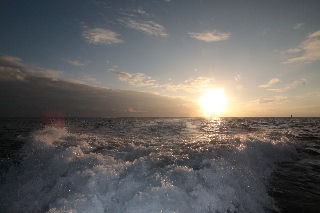 「無題」のサムネイル画像