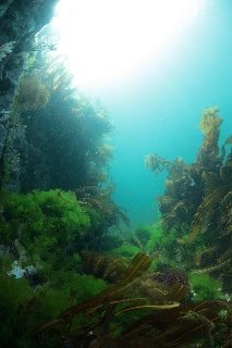 「無題」のサムネイル画像