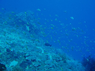 「無題」のサムネイル画像