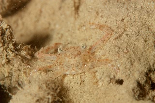 「無題」のサムネイル画像