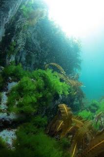 「無題」のサムネイル画像