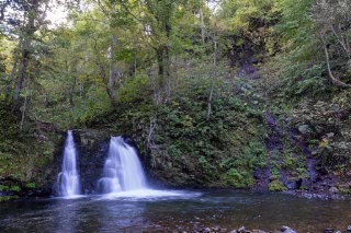 「晨光の滝」のサムネイル画像