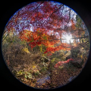 「無題」のサムネイル画像