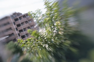 「無題」のサムネイル画像