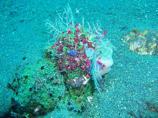 「無題」のサムネイル画像