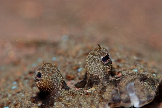 「無題」のサムネイル画像